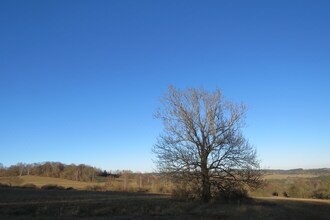 Pereboom
