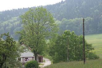 Dagmar