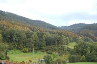 Im Wolftal