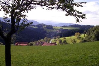 Im Wolftal