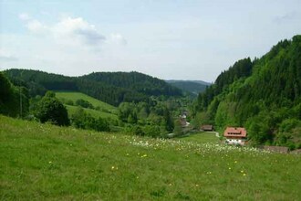 Im Wolftal