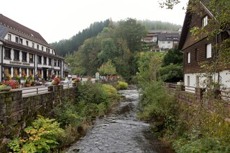 Im Wolftal