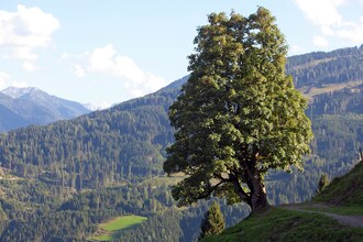 Hirschleiten