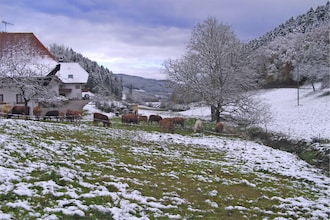 Am Stulzenhof