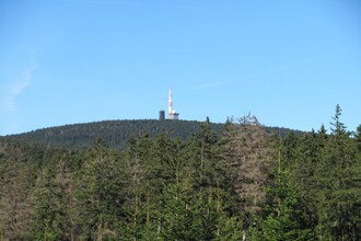 Ältestes Fachwerkhaus
