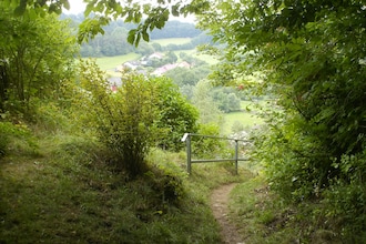 Alte Wassermühle