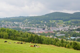 Chalet Bonheur Wellness