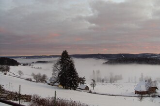 Titisee