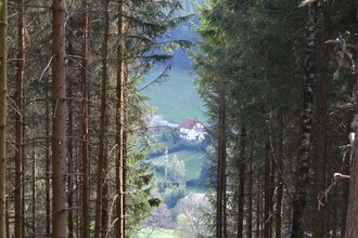 Titisee