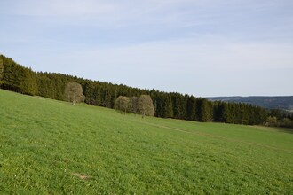 Titisee