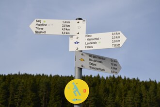 Titisee