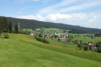 Titisee