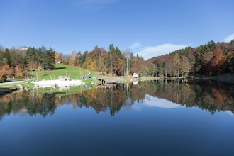 Im Bayerischen Wald