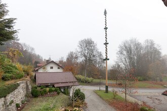 Im Bayerischen Wald