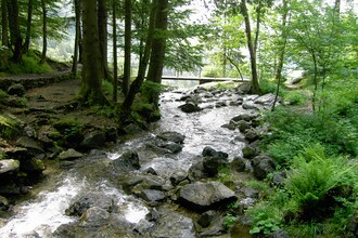 Todtnauberg