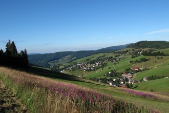 Todtnauberg