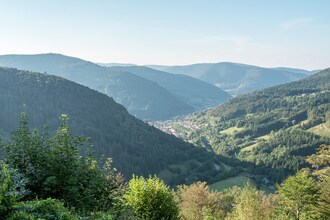 Todtnauberg