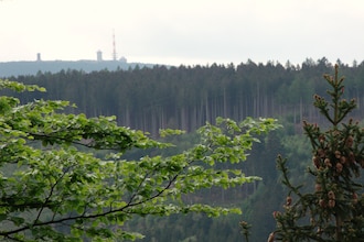 Sternenblick