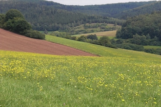 Im Knüllgebirge