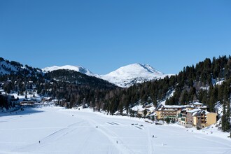 Alpenröslein
