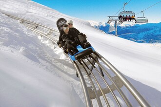 Alpenröslein