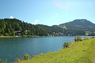 Alpenröslein