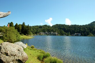 Alpenröslein