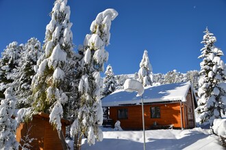 Alpenröslein