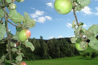 Ferienhaus Wiesing
