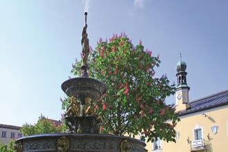 Ferienhaus Wiesing