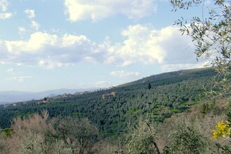 Massarella Due
