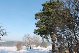 Rybnik