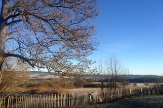 Rybnik