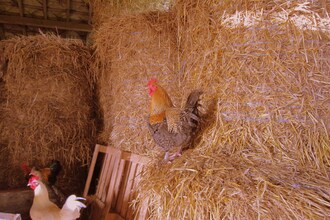 St Firmin les Crotoy