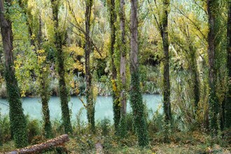 Verde Júcar