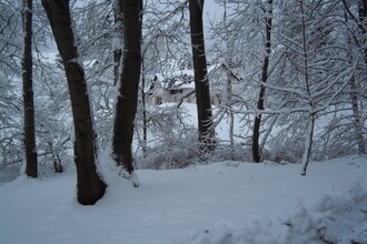 Javornik 80