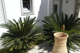 Villa Maria II