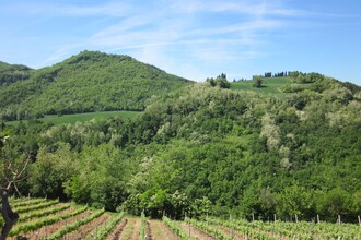 Casa Padronale