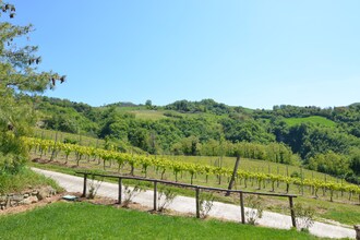 Casa Padronale