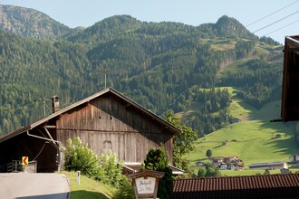 Obersteiner