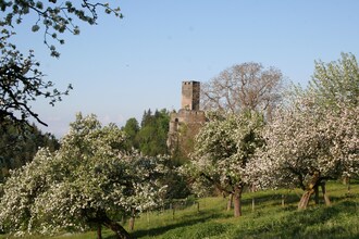 Kleiner Troadkasten
