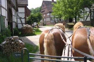 Im Teutoburger Wald