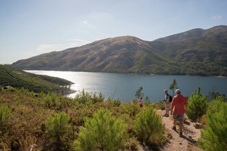 Vista