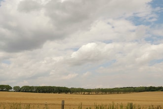 Ballenstedt