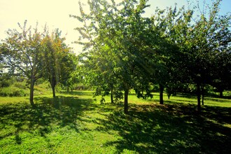 Hubre 2