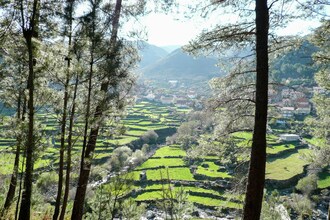 Penedo