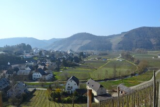 Haus Moselblick