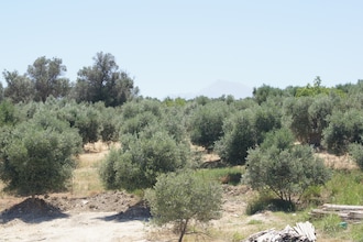 Villa Pelagia