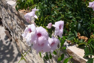 Villa Pelagia