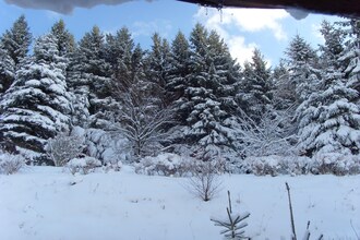 Willingen